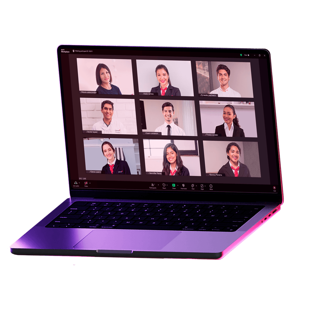 Estudiante profesional